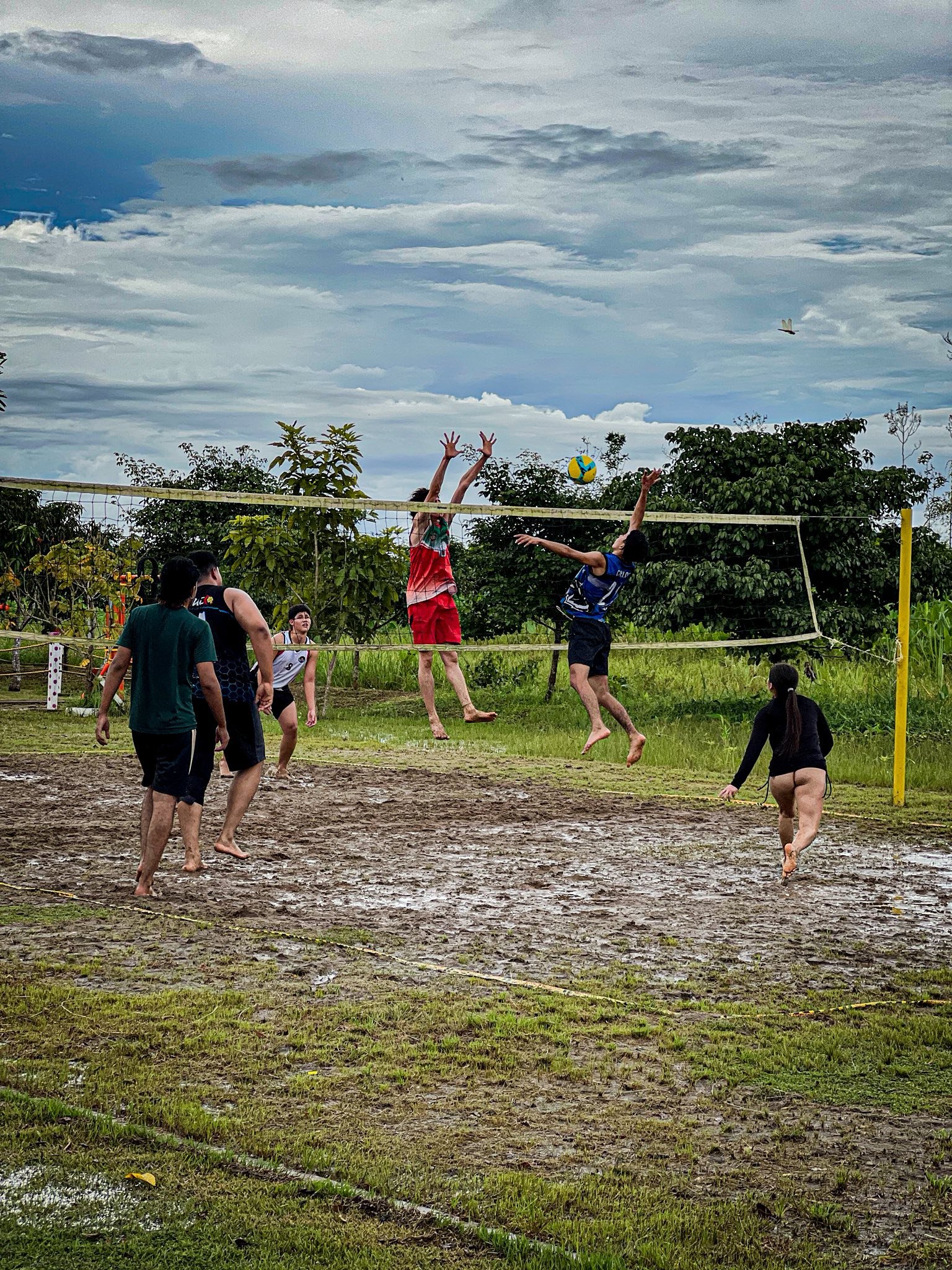 Cancha de voley en ambiente natural